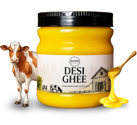 Desi Ghee Cow in Uk